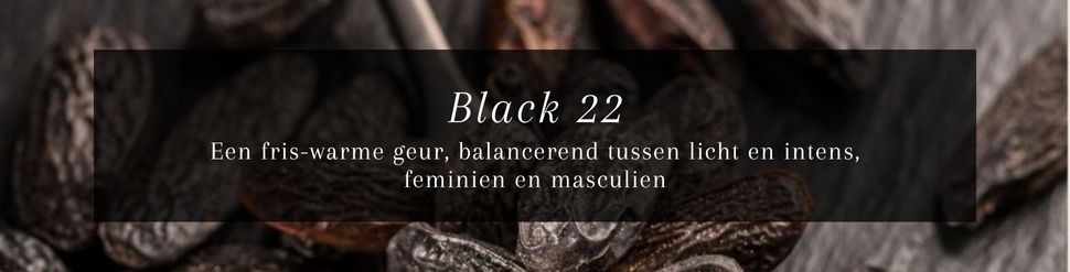 Janzen Black 22